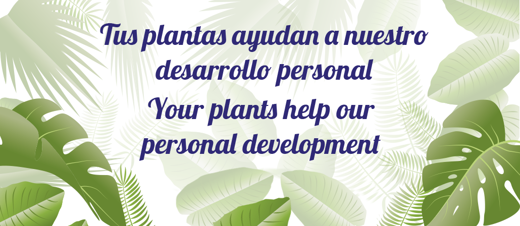 Plantas del vivero - Imagen 1